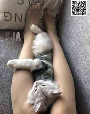 初哥初女初夜情_1080高清完整版播放
