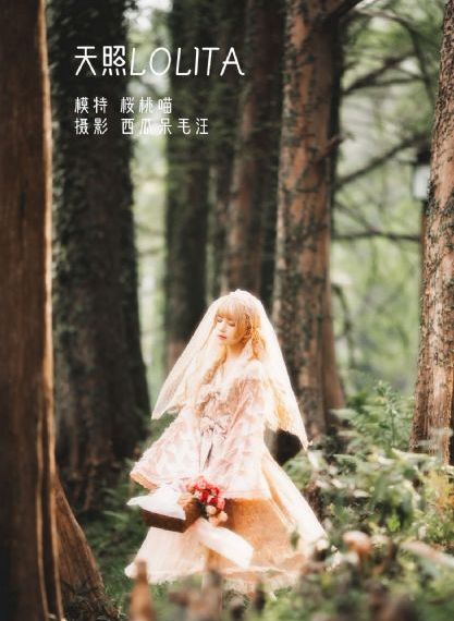南来北往40集免费观看_4K手机免费观看完整