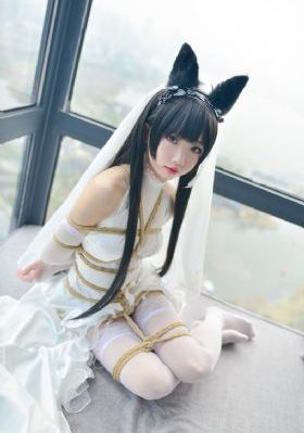 狮子王辛巴电影免费看完整版_蓝光动漫在线观看